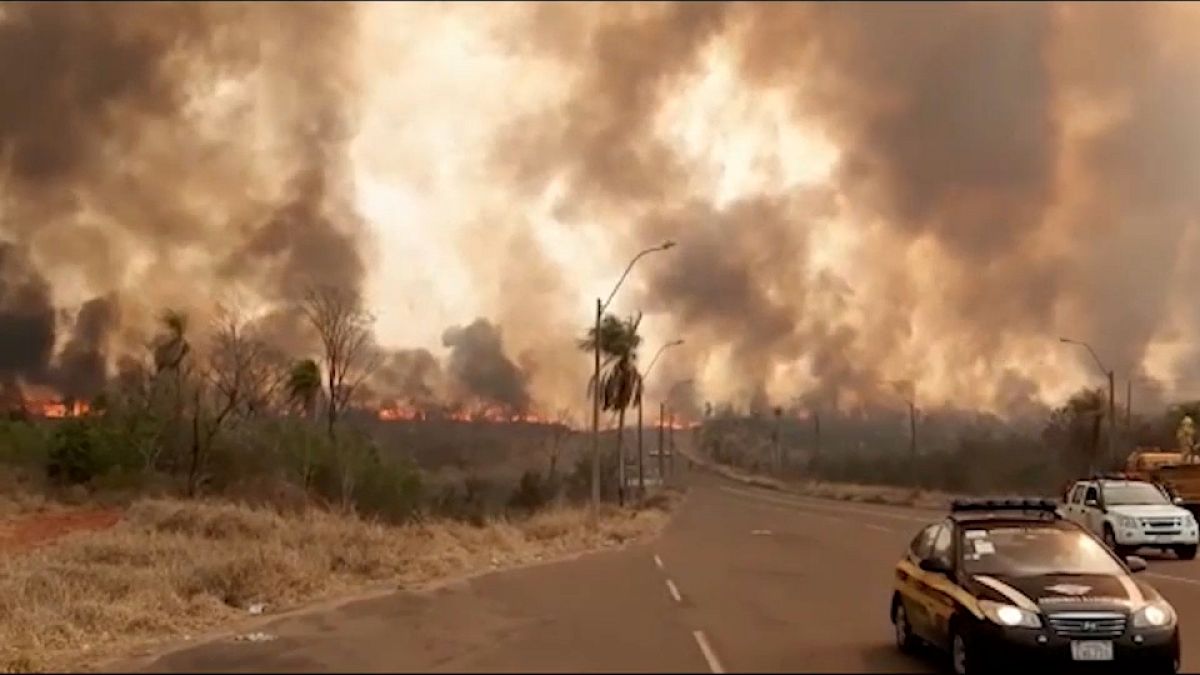 Múltiples incendios forestales han hecho estragos en los últimos días en todo Paraguay destruyendo miles de hectáreas de humedales protegidos.