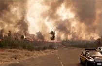 Múltiples incendios forestales han hecho estragos en los últimos días en todo Paraguay destruyendo miles de hectáreas de humedales protegidos.