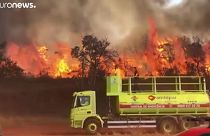 Dél-Amerikában is pusztítanak a tüzek