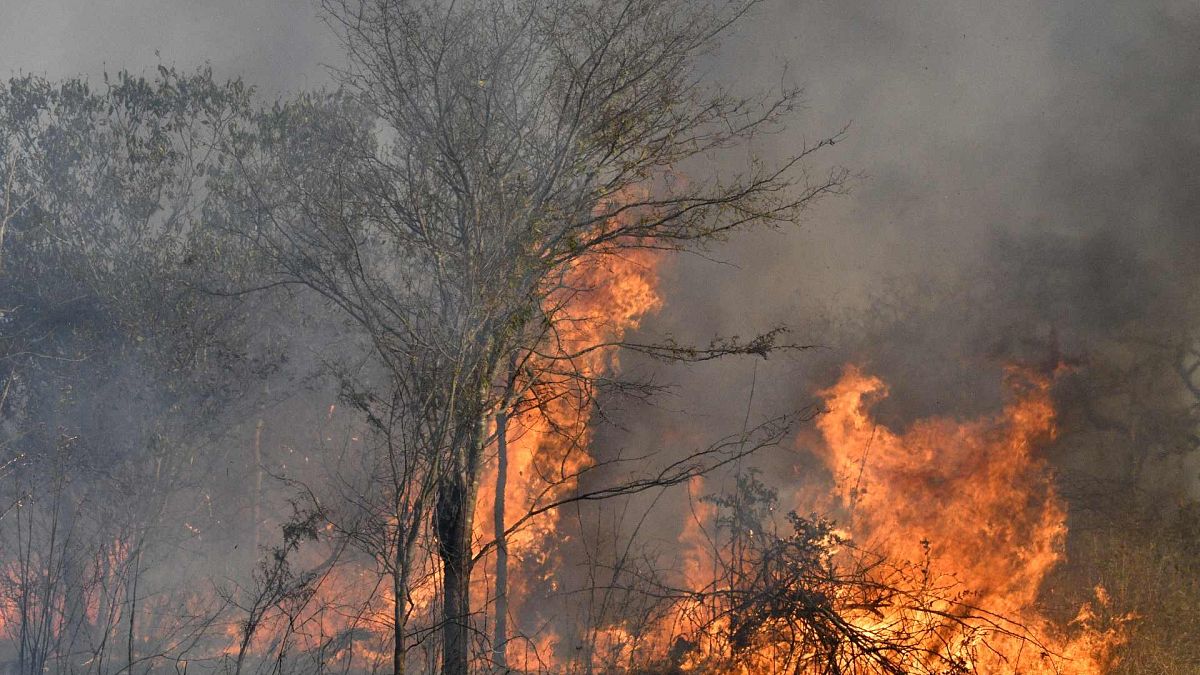 منظر لحريق غابة في سان ماتياس، منطقة تشيكيتانيا، مقاطعة سانتا كروز، بوليفيا، 20 أغسطس 2021