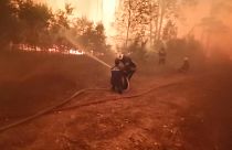 Russia wildfire