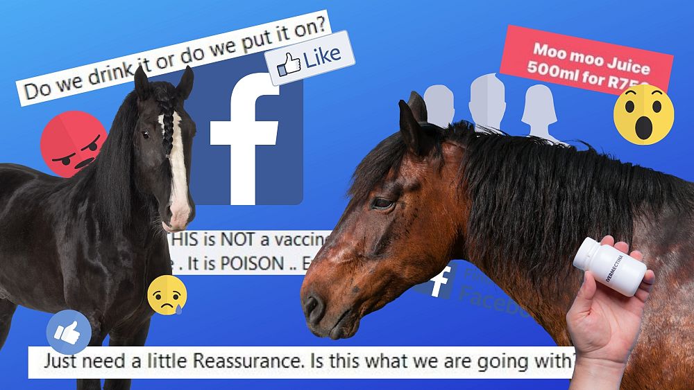 Facebook Ads Are Promoting Horse Drug Ivermectin As A Covid Cure Expert Advice Says It Isn T One Euronews