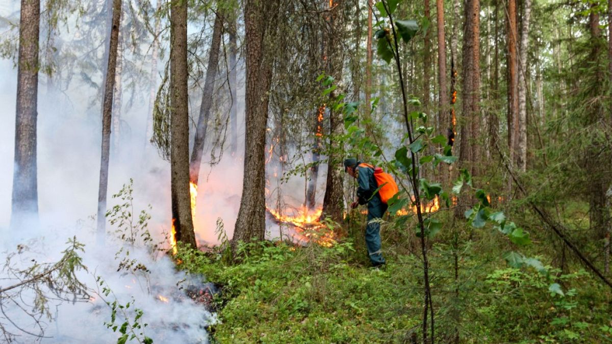 Rusya'da orman yangınları