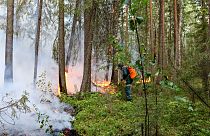 Rusya'da orman yangınları