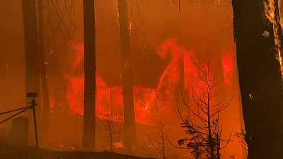 Incêndio de French Camp incontrolável no nordeste da Califórnia