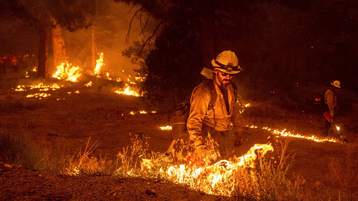 Pompiers engagés contre les flammes dans la forêt nationale de l'Eldorado, près de Sacramento (Californie), le 26/08/2021
