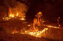Pompiers engagés contre les flammes dans la forêt nationale de l'Eldorado, près de Sacramento (Californie), le 26/08/2021