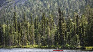 ARCHIVO - Un remero en el lago Kesanki, en Akaslompolo, Kolari, Laponia, norte de Finlandia, jueves 7 de julio de 2021. 