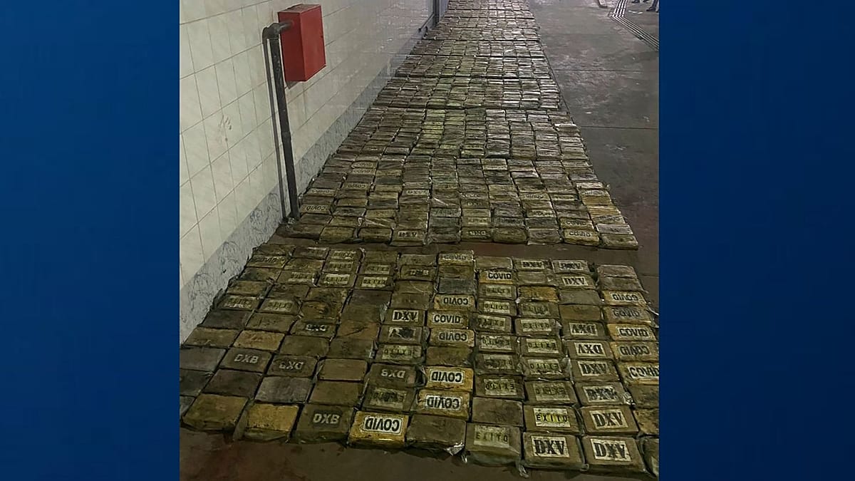 Police find record haul of cocaine in bananas shipment | Euronews