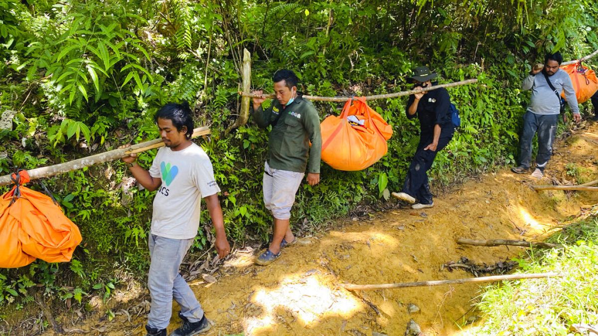 دعاة حماية البيئة يحملون جثث ثلاثة نمور سومطرة عثر عليها ميتة في قرية إي بوبوه في جنوب آتشيه بإندونيسيا،  26 آب /  أغسطس، 2021