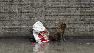 Ein Hund sitzt im Regen, neben ihm kauert ein Mensch unter einer Plastikabdeckung. Kabul, 2019