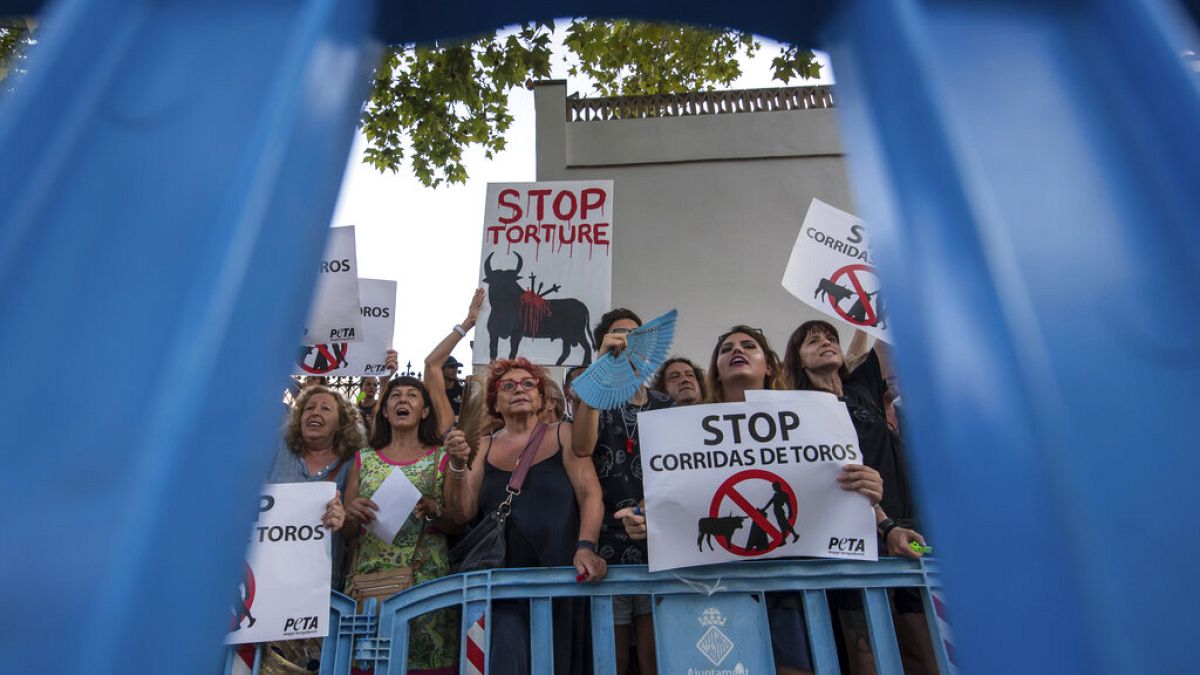 Die Proteste fanden im Zentrum von Lissabon statt