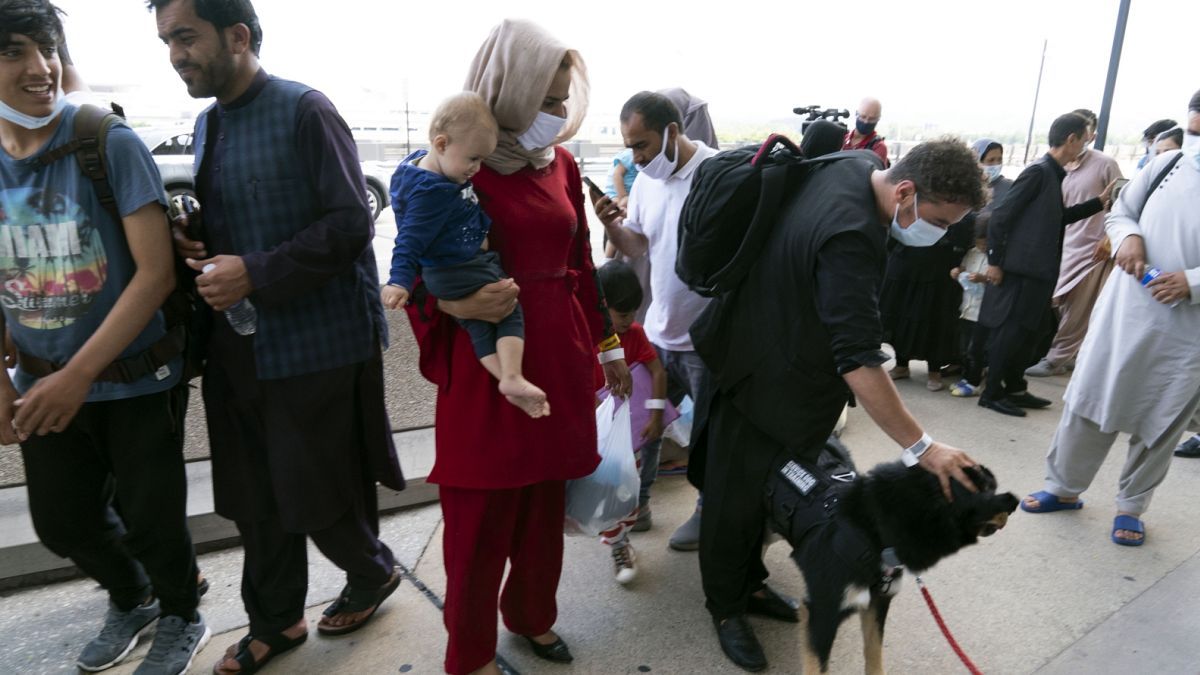 Kabulból Amerikába érkezett afgán család egy Cali nevű szolgálati kutyával
