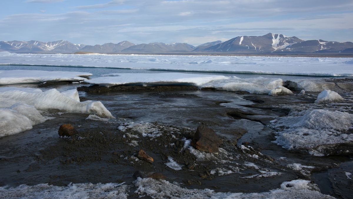 Grönland'ın en kuzeyinde keşfedilen ada 