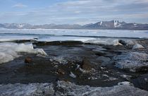 Grönland'ın en kuzeyinde keşfedilen ada