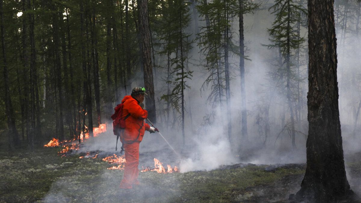 Langsame Entspannung in Russlands Waldbrandgebieten