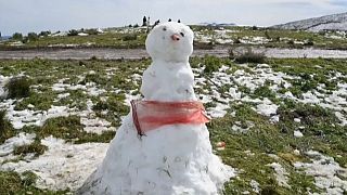 Cold front causes rare snowfall in South Africa