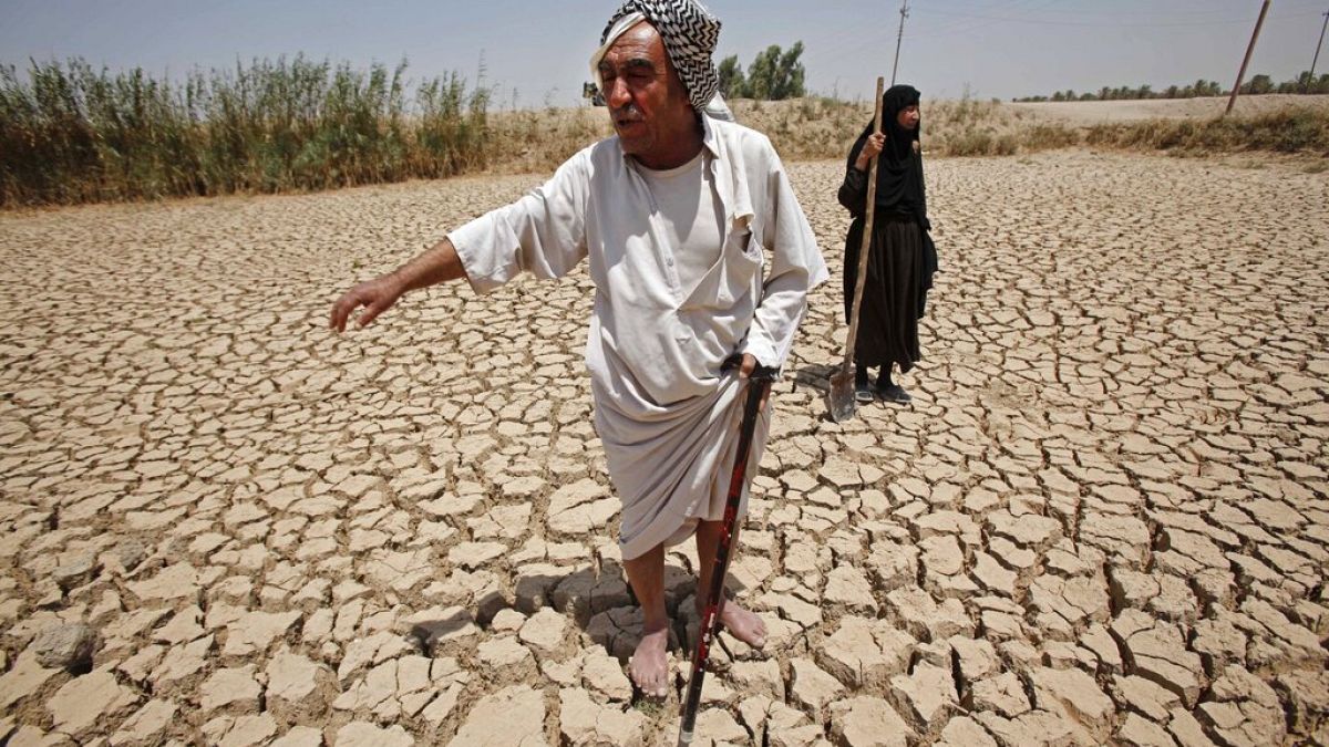 Türkiye'den doğan Fırat Nehri, Suriye'den geçip Irak'a dökülüyor. 2009'da yaşanan kuraklıkta Iraklı çiftçiler büyük zarar görmüştü (Fotoğraf: Bağdat-Irak)