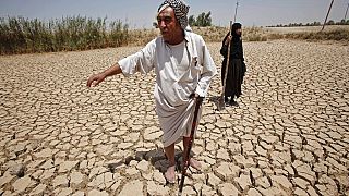 Türkiye'den doğan Fırat Nehri, Suriye'den geçip Irak'a dökülüyor. 2009'da yaşanan kuraklıkta Iraklı çiftçiler büyük zarar görmüştü (Fotoğraf: Bağdat-Irak)
