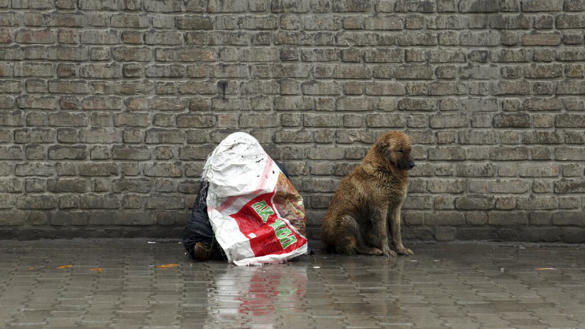 Un perro junto a un hombre cubierto por un plástico en Kabul, en el año 2019