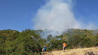 Bingöl'ün Yayladere ilçesinde çıkan orman yangını