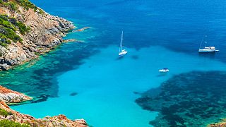 Korsika: Seegras retten vor ankernden Yachten