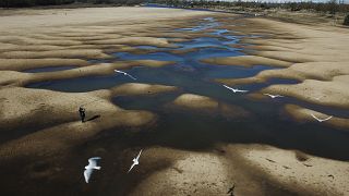 شاهد: انخفاض في منسوب مياه نهر بارانا في أميركا الجنوبية إلى أدنى مستوى منذ أكثر من 80 عاما