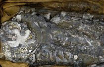 human remains of 6,500 years old body displayed at the The Penn Museum
