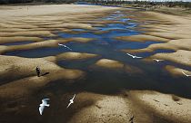 Bancadas de arena dan testimonio de la gravedad de la sequía que afecta al Paraná