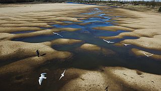 Bancadas de arena dan testimonio de la gravedad de la sequía que afecta al Paraná