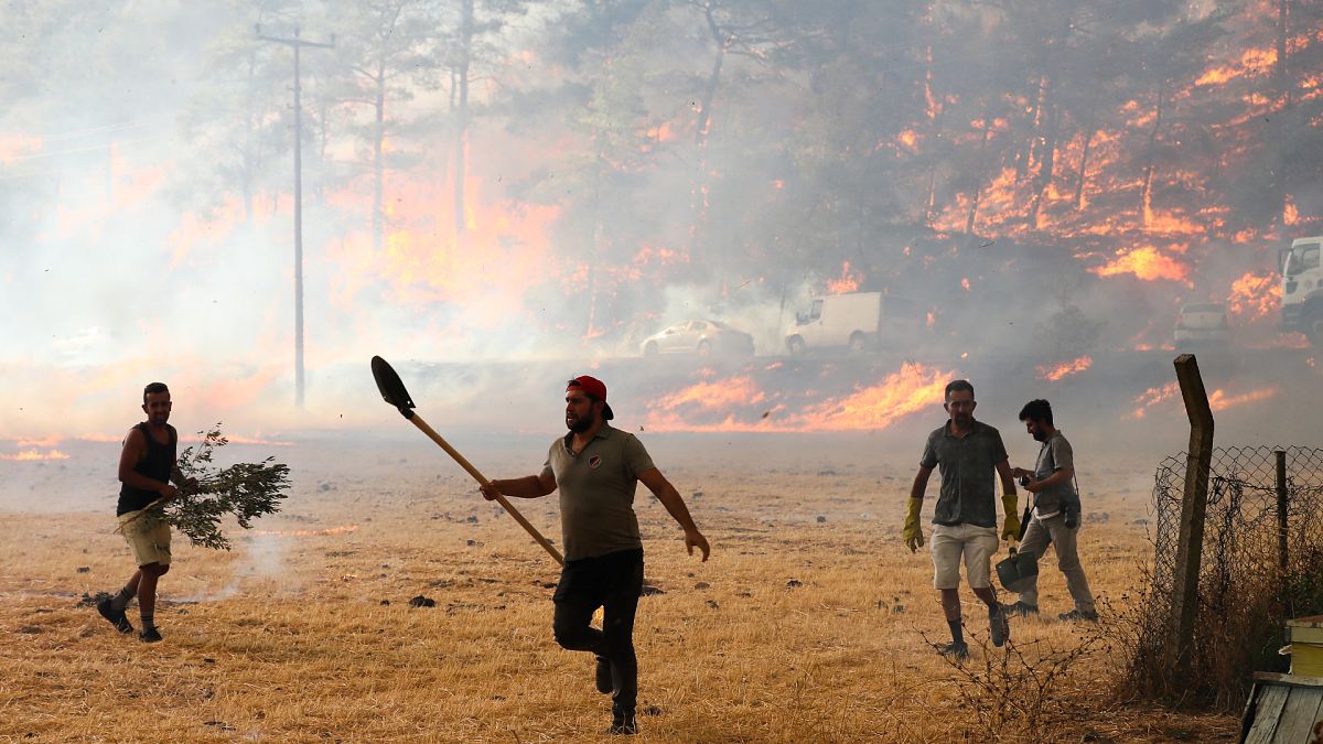 Muğla'nın Marmaris ilçesindeki orman yangını