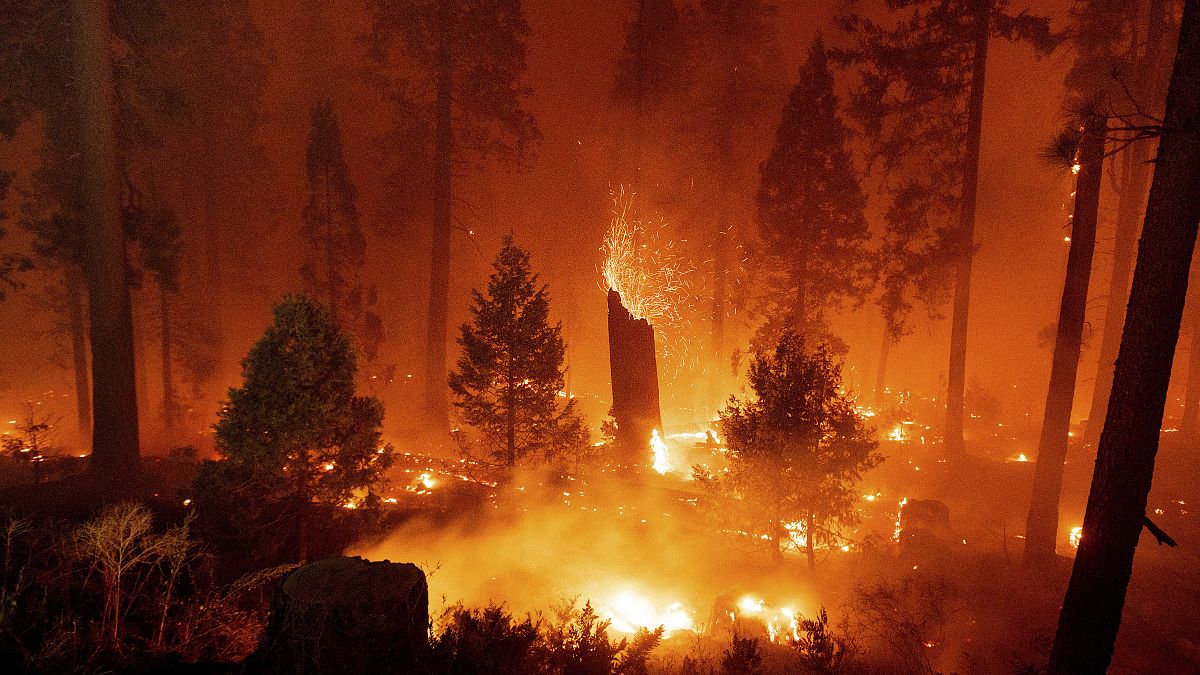 اندلاع الحرائق في غابة إلدورادو بولاية كاليفورنيا الأمريكية