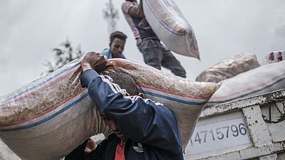 Ethiopie : des rebelles ont pillé de l'aide humanitaire, selon l'USAID
