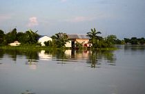 Indien: Mehr als drei Millionen von Monsun in Bihar betroffen