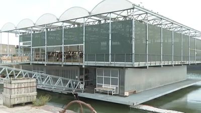 In Rotterdam, the world's first 'floating farm' is helping save agricultural land