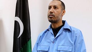 Gaddafi's son freed from prison, flies directly to Turkey