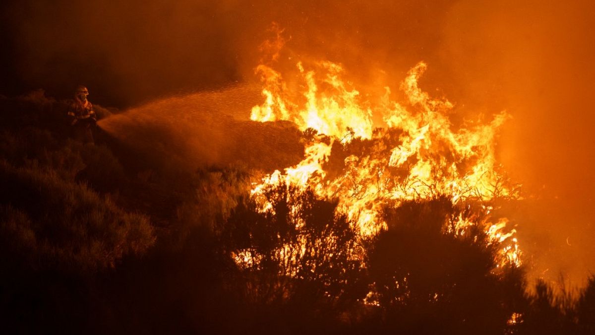 İspanya'da orman yangınına müdahale / Arşiv