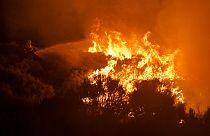 İspanya'da orman yangınına müdahale / Arşiv