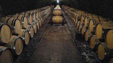 Empty barrels for the next harvest in autumn in the cave of Champagne producer Anselme Selosse in Avize, in the Champagne region, July 28, 2020.
