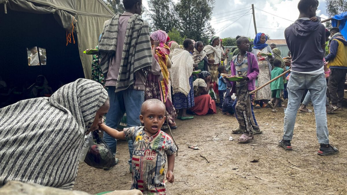 Amhara'da yaşayan ve evlerini terk etmek zorunda kalan siviller.