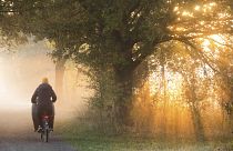Une femme circule à vélo à Laatzen dans la région d'Hanovre, le 5 novembre 2020