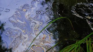 Oil pollution of the Erra river in Estonia