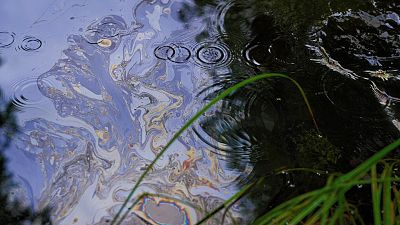 Oil pollution of the Erra river in Estonia
