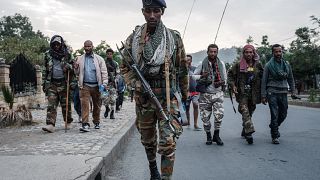 Ethiopia says TPLF rebels 'routed' in Afar after months of clashes