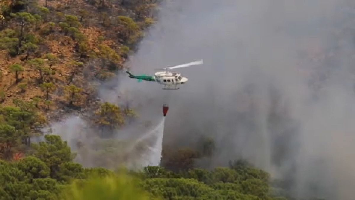 Un helicóptero lanza agua para tratar de contener las llamas en Sierra Bermeja, Málaga, España.