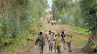 Ethiopie : de nouvelles victimes des forces du Tigré en Amhara