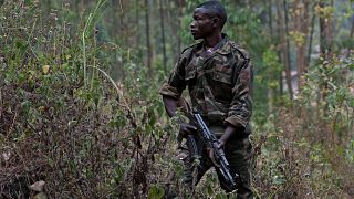 Over 1,200 civilians killed in two DR Congo provinces this year: UN