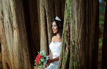 İngiltere'nin Bristol kentinde, ağaç kesimine karşı çıkmak için 74 kadın, ormanlık alandaki ağaçlarla evlendi