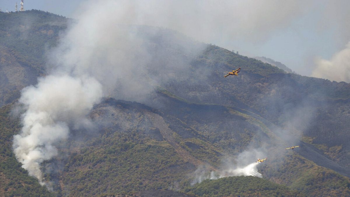 Varios hidroaviones tratan de sofocar las llamas en la ladera de un monte cerca de la localidad de Estepona.