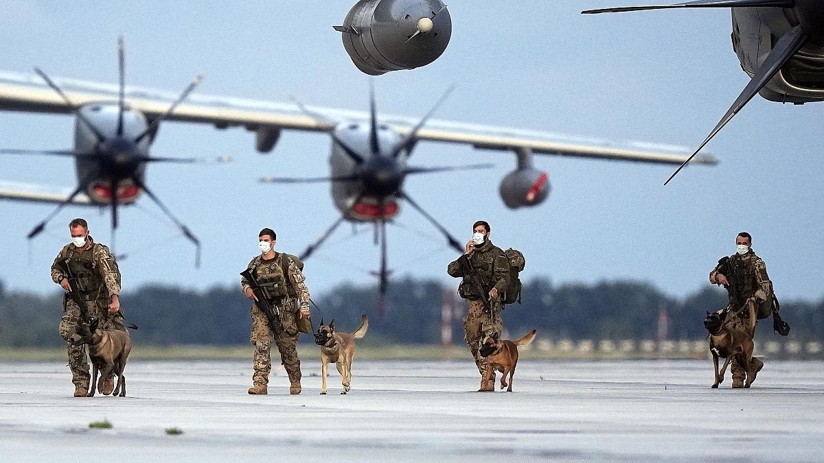الكلاب المتروكة في مطار كابول بعد الانسحاب الأميركي جاهزة للعودة للعمل  